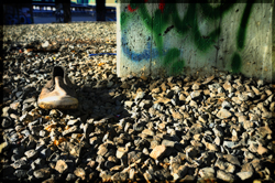 Abandoned-Shoe by RR